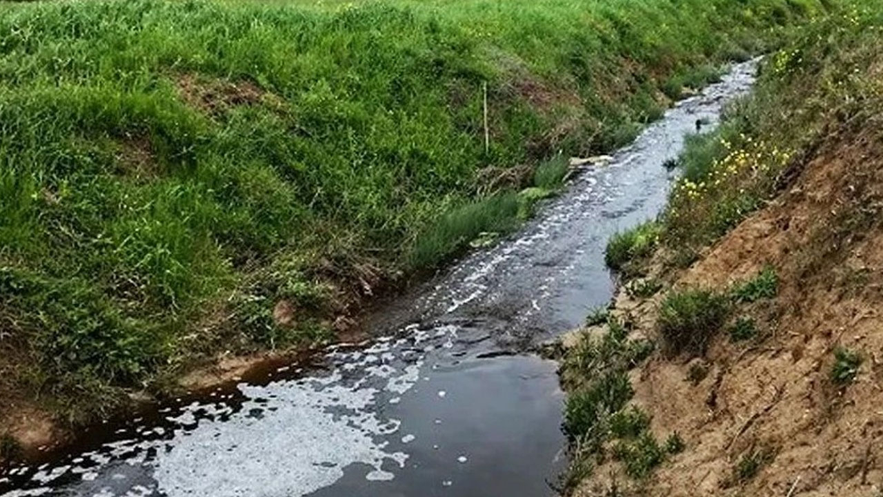 Sinop’ta çevreyi kirleten tesise 1.6 milyon TL ceza