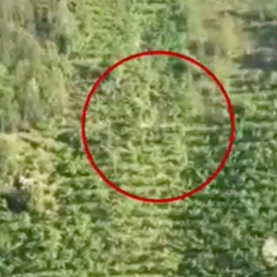 Giresun'da korkunç kaza! Kamyonet dik yamaçta taklalar attı: Sürücü sağ kurtuldu