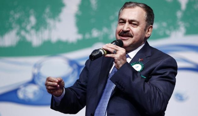 Bakan Eroğlu'dan İstanbul ormanları ile ilgili flaş açıklama! "Yüzde 44'ü..."