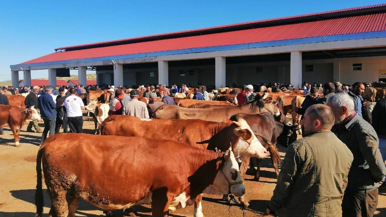DMM'den sahte kurban ilanlarına ilişkin uyarı