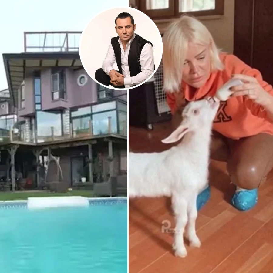 Ferhat Göçer "Milyon dolarlık yalı barınağa döndü" demişti... Ömür Gedik o yavru keçiyi paylaştı!