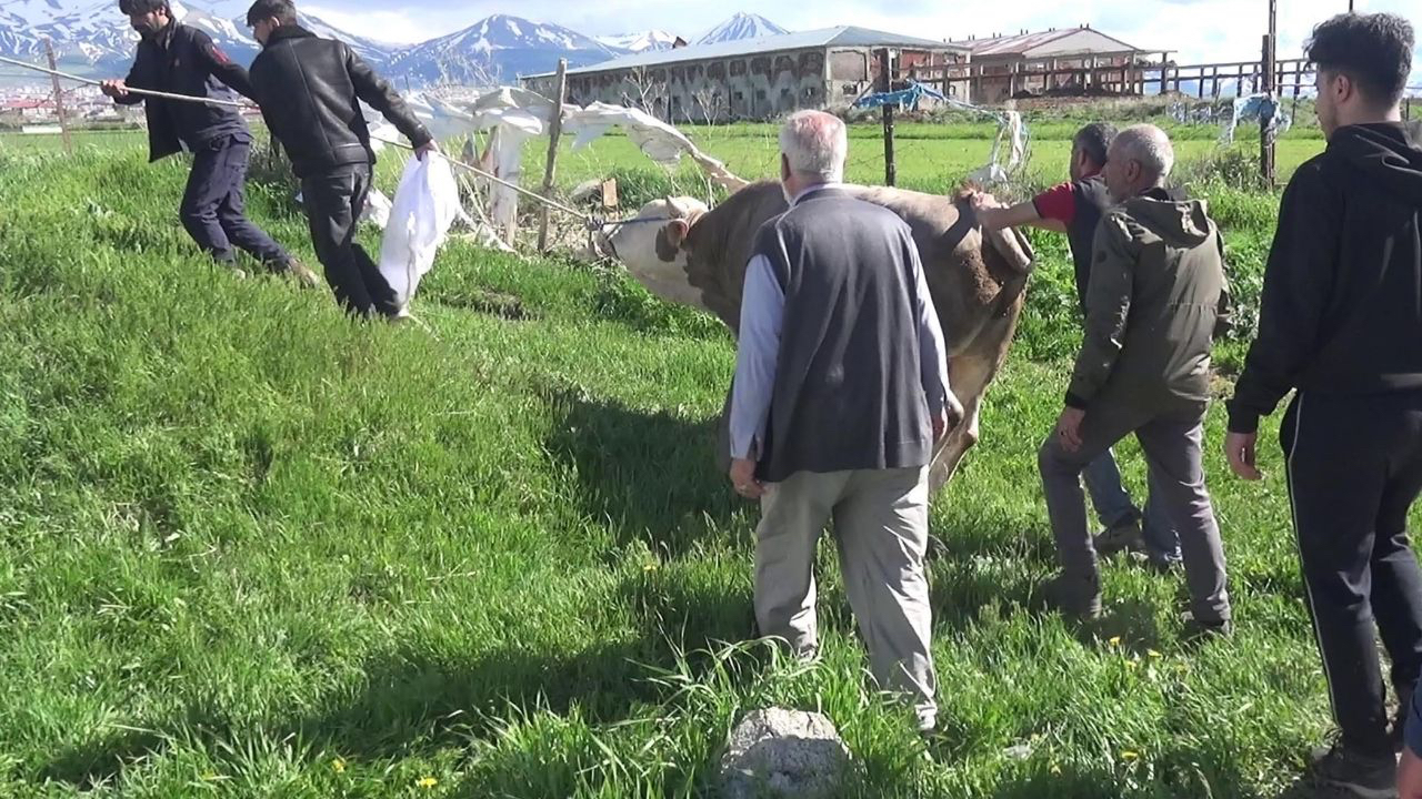 Erzurum'da yürek burkan olay! Kurban kesim sırasında kalp krizi geçirdi hayatını kaybetti