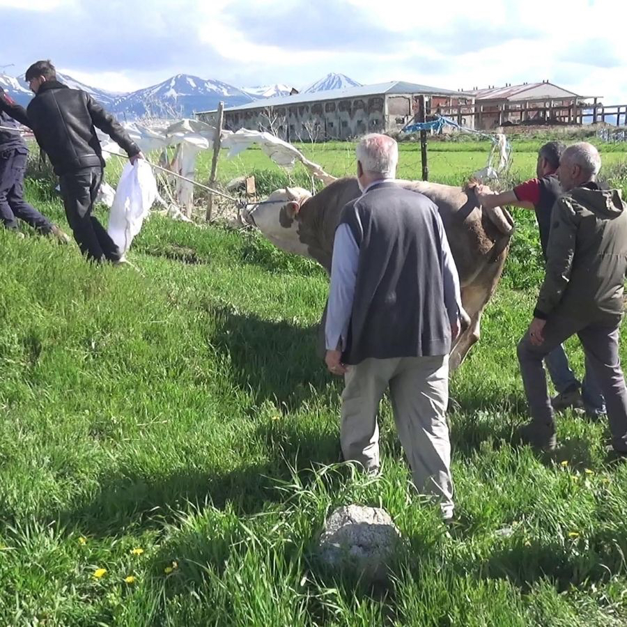 Erzurum'da yürek burkan olay! Kurban kesim sırasında kalp krizi geçirdi hayatını kaybetti