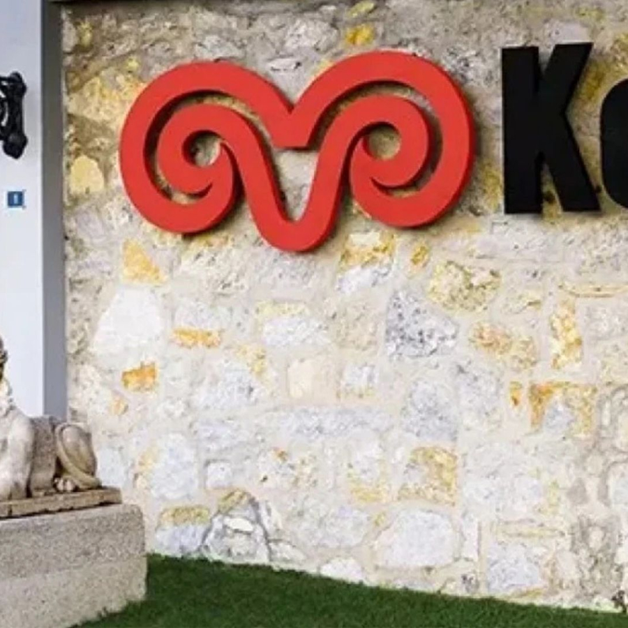 Koç Holding, Romanya merkezli savunma sanayi şirketini alıyor
