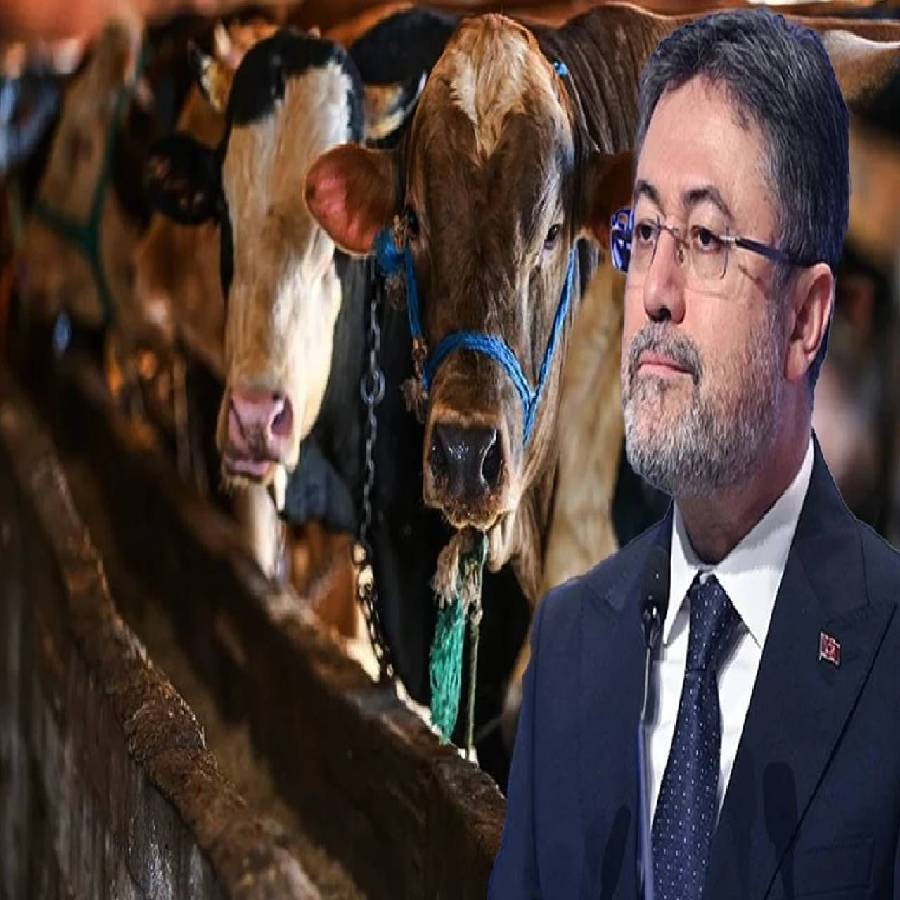 Bakan Yumaklı duyurdu: Satılmayan kurbanlıkları Et ve Süt Kurumu alacak