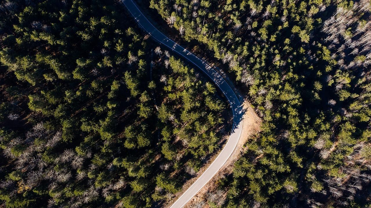Adana'da ormanlık alanlara girişler yasaklandı