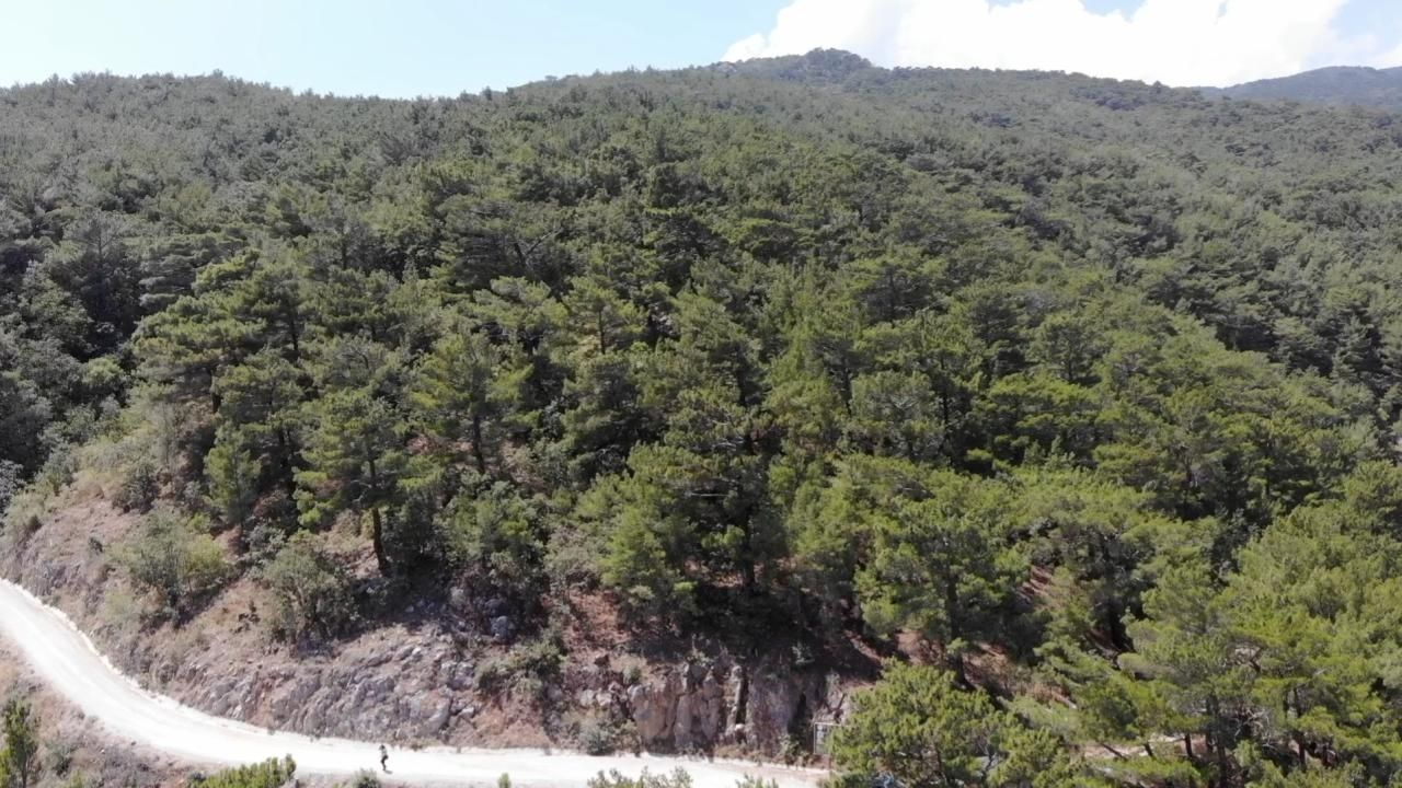 2 ilde ormanlık alanlara girişler yasaklandı