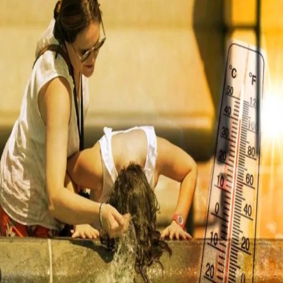 Avrupa felaketi yaşıyor! Uzmanlar acı tablo karşısında şaşkın: Başkentte bir günde 100'den fazla ölüm