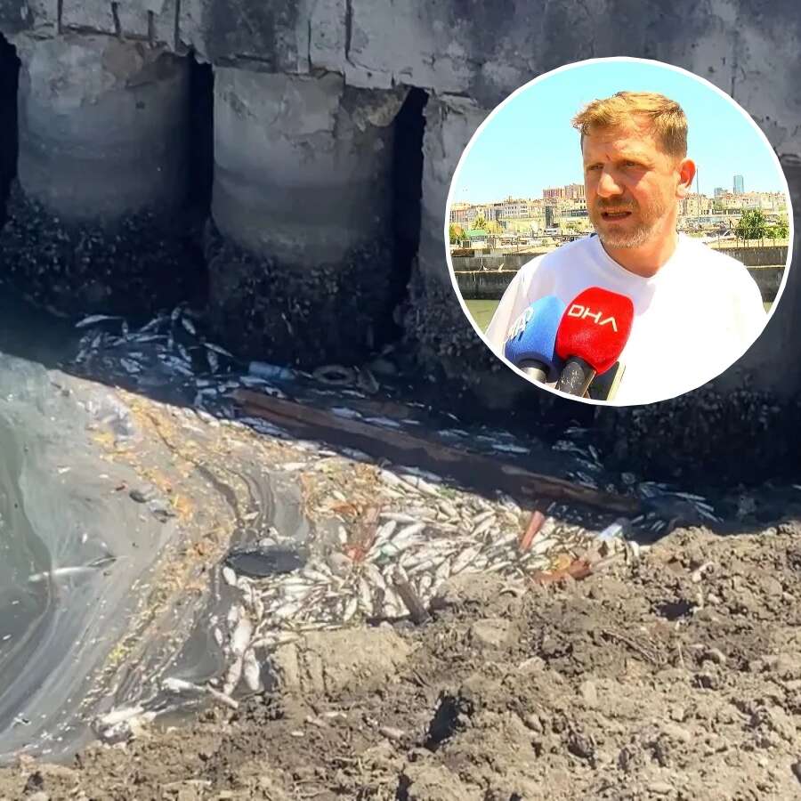 Bakırköy Çırpıcı Deresi'nde İSKİ faciası: Binlerce balık telef oldu, kokudan yaklaşılmıyor...