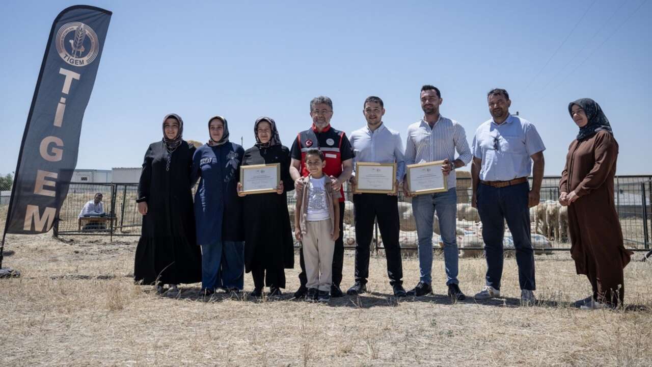 1600 üreticiye 160 bin küçükbaş teslim edilecek