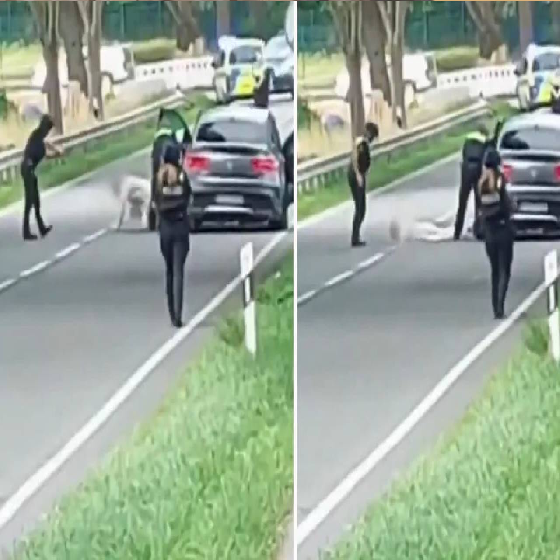Avrupa'nın göbeğinde katliam! 6 kişiyi öldüren saldırgan Türk çıktı
