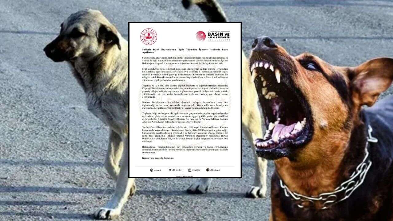 Sokak söpeği saldırıları sonrası flaş gelişme: İçişleri Bakanlığı 3 belediye başkanı için düğmeye bastı