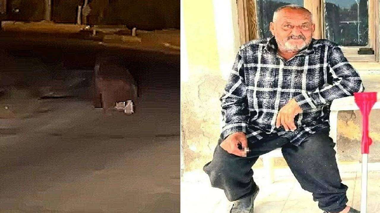 Bir anda karanlıkta fırladı! İzmir'de korkunç olay: Balkonda uyurken saldırdı, 20 metre sürükledi