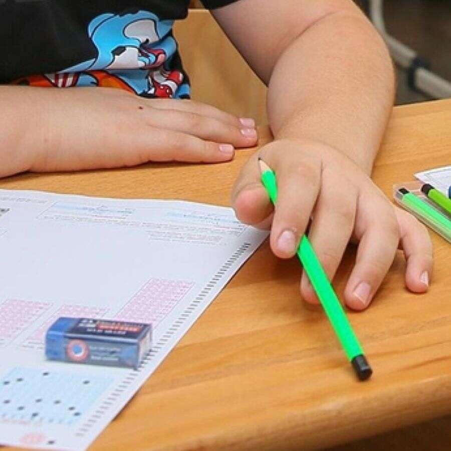 LGS sonuçları açıklandı: MEB lise merkezi sınav sonuç belgesi sorgulama ekranı erişime açıldı