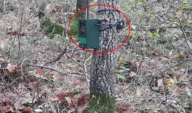 Vahşi hayvanlar için yerleştirildi PKK'lı teröristlerin kabusu oldu!