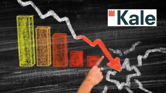 Borsa faciası! 1060 gündür aralıksız hisse değeri düşüşte hisse!