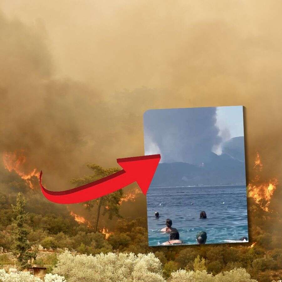 Son dakika! Göcek'te orman yangını... Evler boşaltılıyor