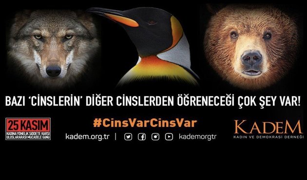 "Bazı 'cinslerin' diğer cinslerden öğreneceği çok şey var!" / VİDEO