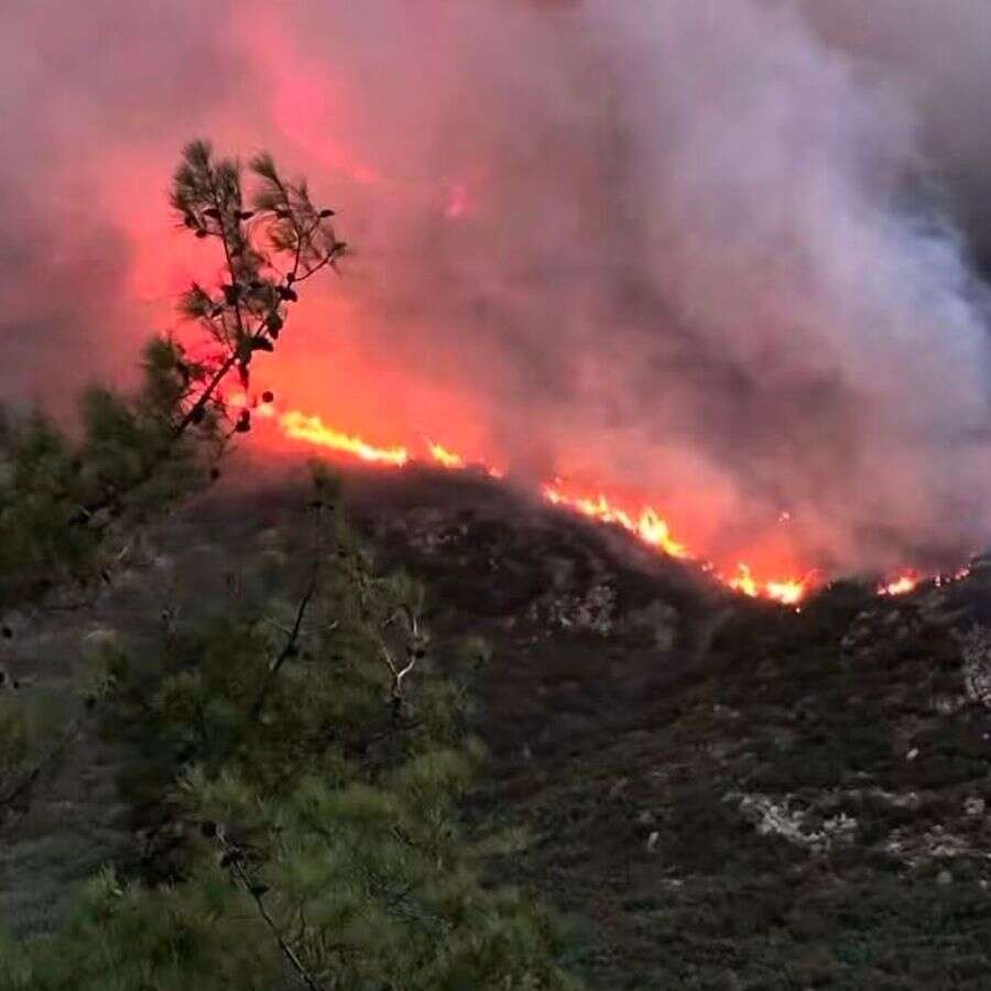 Antalya'nın Kaş ilçesinde orman yangını! Alevlerin enerjisi düşürüldü