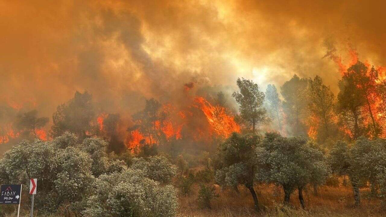 Adalet Bakanı Akın Gürlek duyurdu: 16 ildeki 44 orman yangınıyla ilgili 6 tutuklama!