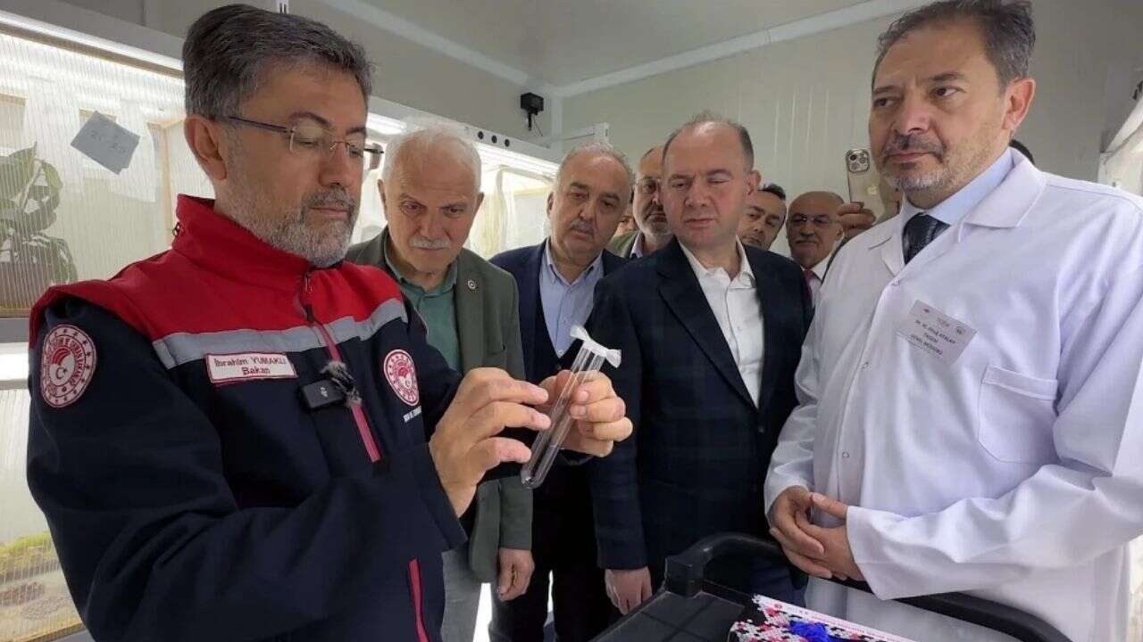 Bakan Yumaklı açıkladı: Kahverengi kokarcaya karşı 1 milyon 650 bin samuray arısı