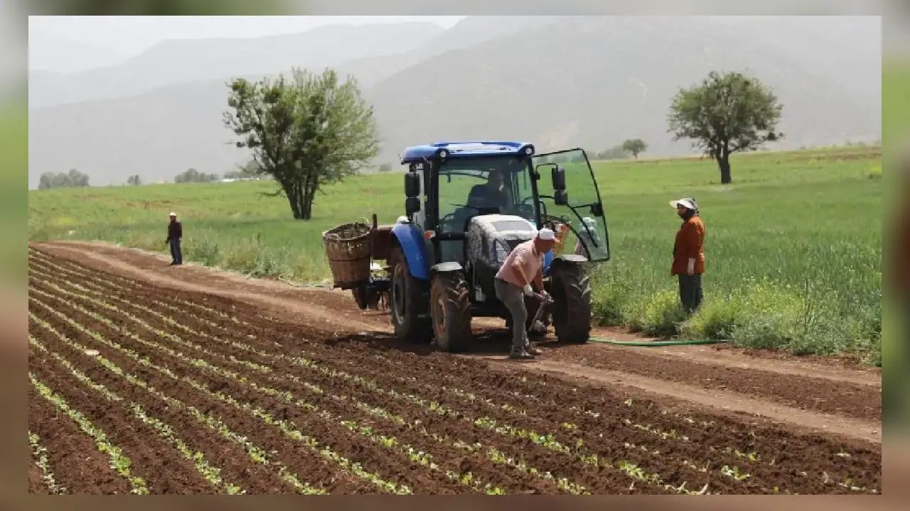 Küresel Navlun ücreti yüzde 50’nin üzerinde arttı