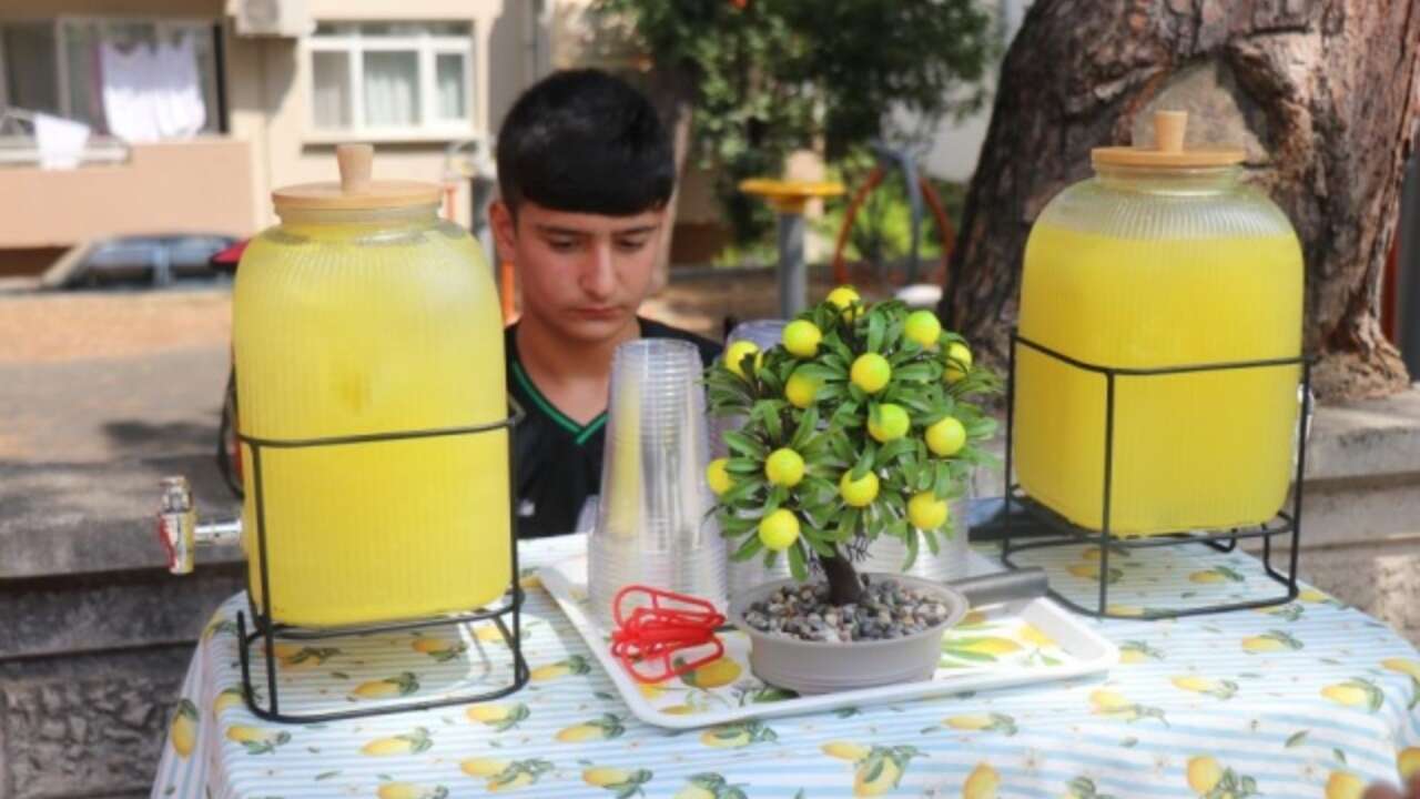 14 yaşında ayda 90 bin TL kazanıyor! Tatilde yan gelip yatmadı, kendi parasıyla telefon aldı!