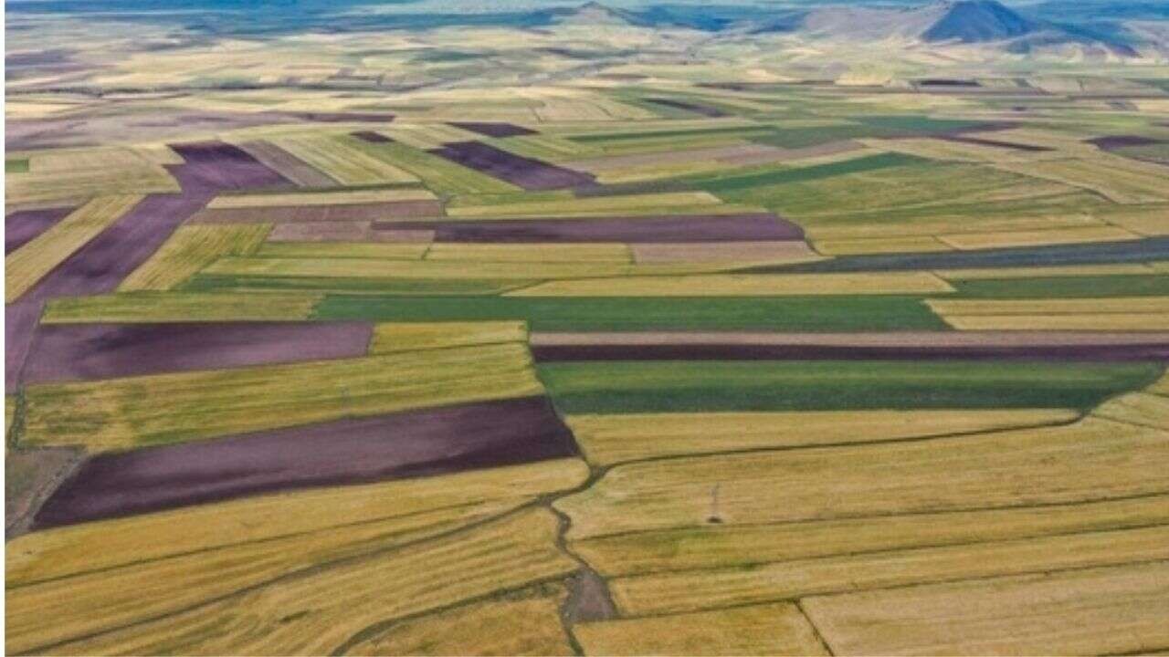Bozuk yada açık olan ormanlar ağaçlandırılması için vatandaşa tahsis edilecek