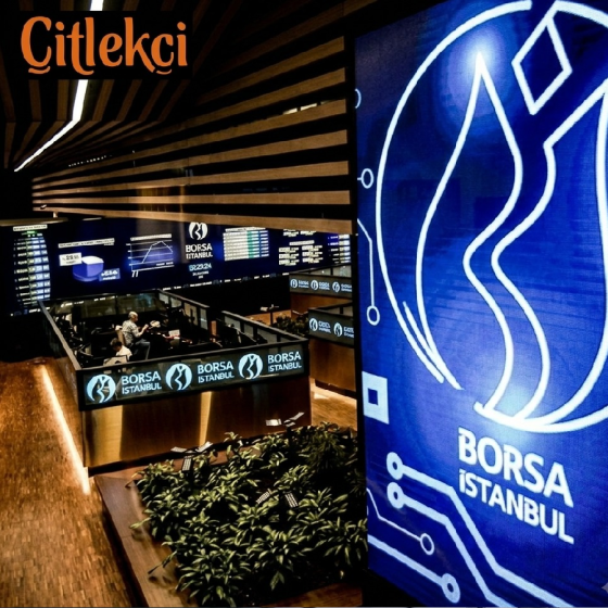 Ekonomi kulisleri karıştı: Çitlekçi’nin halka arz sürecinde çok konuşulacak borç tablosu!