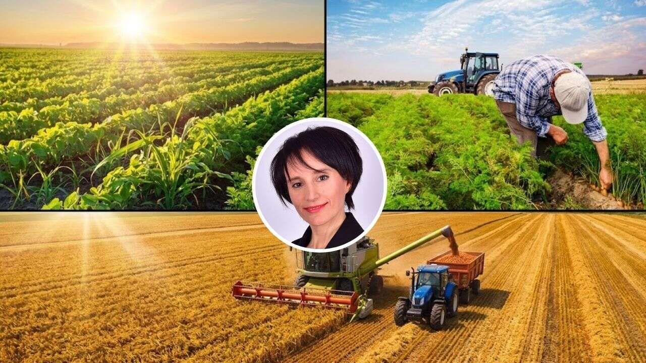 Modada sessiz lüks, sofrada gösterişli görgüsüzlük! Dünyanın 6. büyük tarım hasılası ihracatta ilk 20’de neden yok