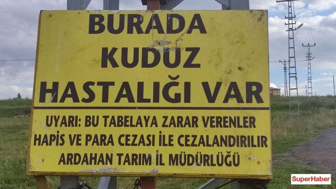 Ardahan'da korkutan karantina! Kuduz virüsü tespit edildi