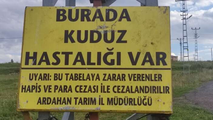 Ardahan'da korkutan karantina! Kuduz virüsü tespit edildi