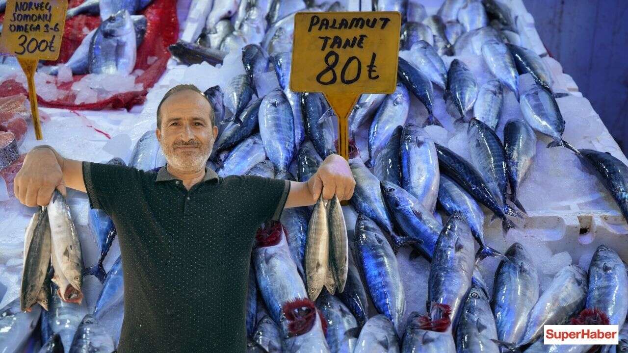 Yıllardır böylesi görülmedi: Karadeniz'den palamut fışkırıyor