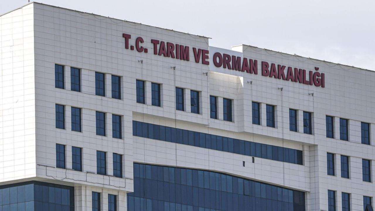 Lahmacun, sucuk, tantuni, kavurma... Bakanlık marka marka ifşa etti!