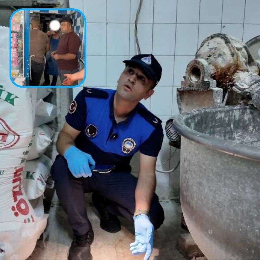 Gaziantep'te fırında hamam böceği skandalı: Zabıtaya verilen yanıt pes dedirtti