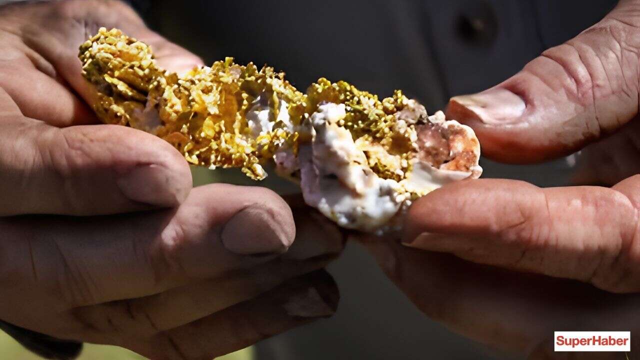 Keçisini ararken altın bulan çoban! Binlerce kişi dere yatağına akın etti