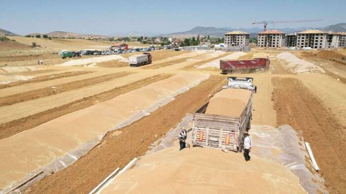 TMO’dan buğdayda yeni dönem! Satışlar başlıyor
