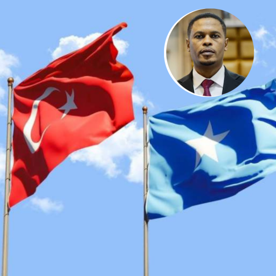 Somali'den 'Türkiye' çıkışı: "Kiralık kişiler var!"