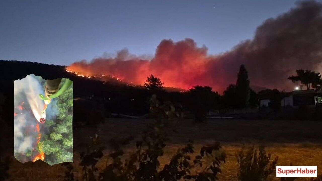 Muğla'da sabahın ilk ışıklarıyla kabus başladı! Menteşe'de rüzgar alevleri körüklüyor!