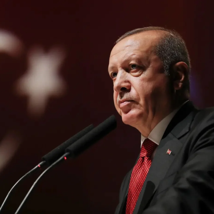 Erdoğan'ı ve gazetecileri hedef gösteren LGBT'li Kaos oluşumuna da operasyon!