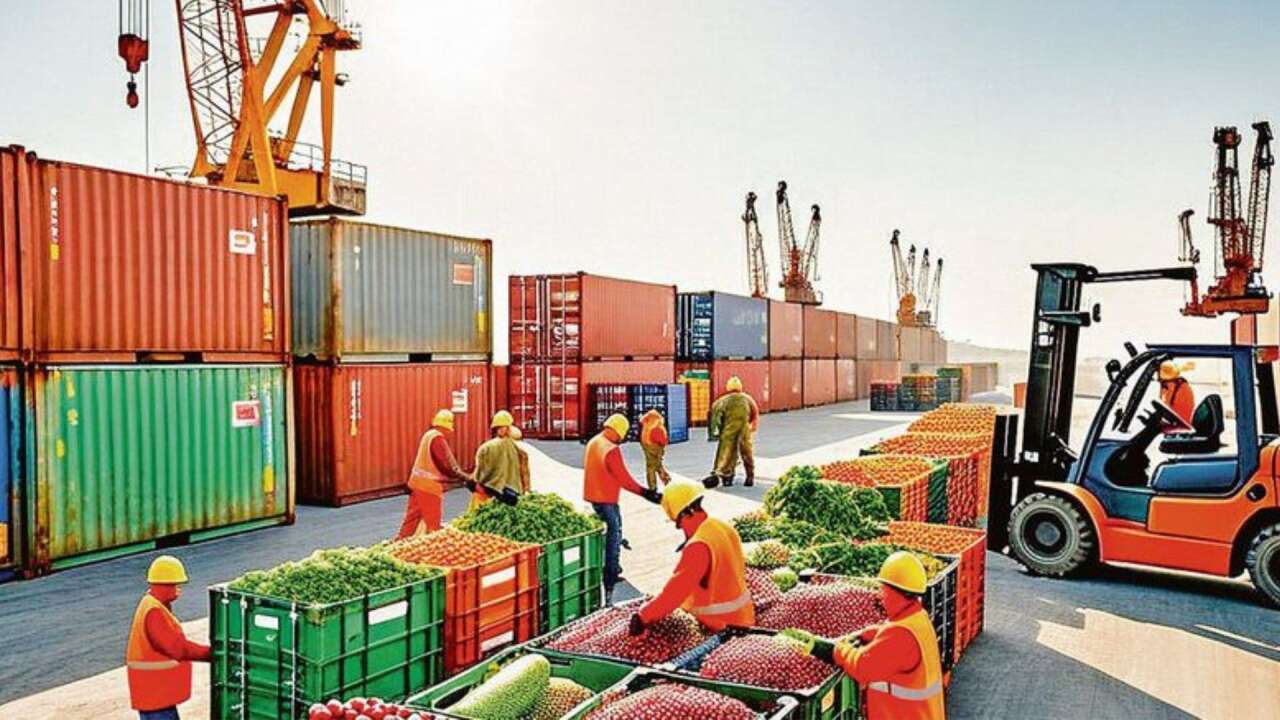 Türkiye küresel ticarette lider ülke konumuna geliyor!