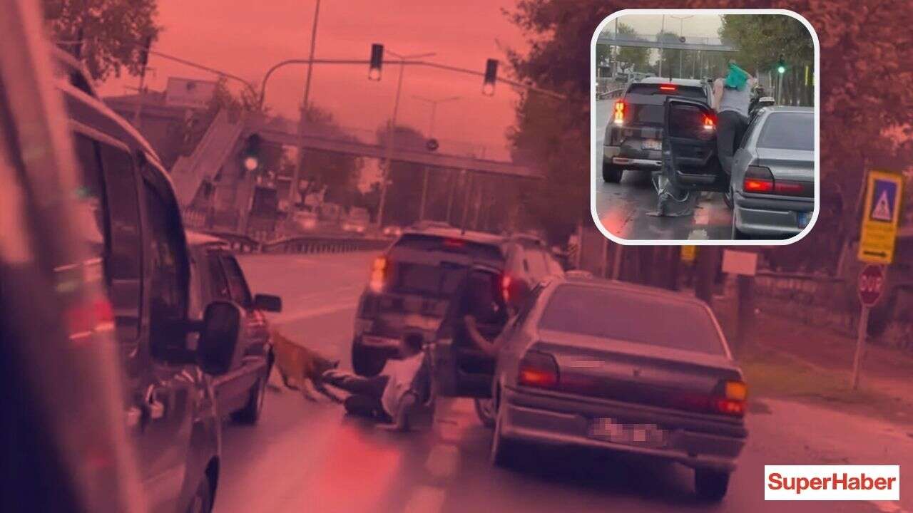 Sakarya'da zinciri kopan köpek yolda yürüyen kişiyi yerde sürükledi
