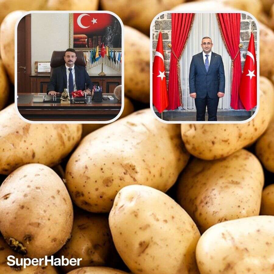 Bismil'de 400 ton patates skandalı! Müdür tutuklandı, Kaymakam ve Başsavcı gitti