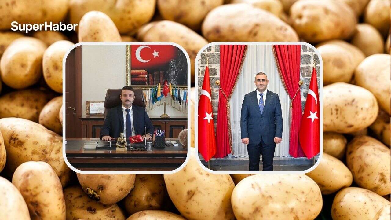 Bismil'de 400 ton patates skandalı! Müdür tutuklandı, Kaymakam ve Başsavcı gitti