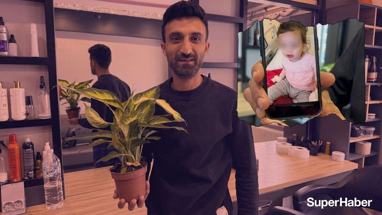 Ev ve ofislerde kullanılıyordu! Çiçeği yiyen çocuk yoğun bakıma kaldırıldı