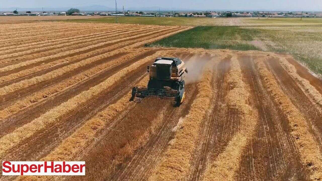 Tarım ve gıdaya dev finansman: Tarım ve gıda yatırımlarına 10 milyon dolara kadar finansman desteği