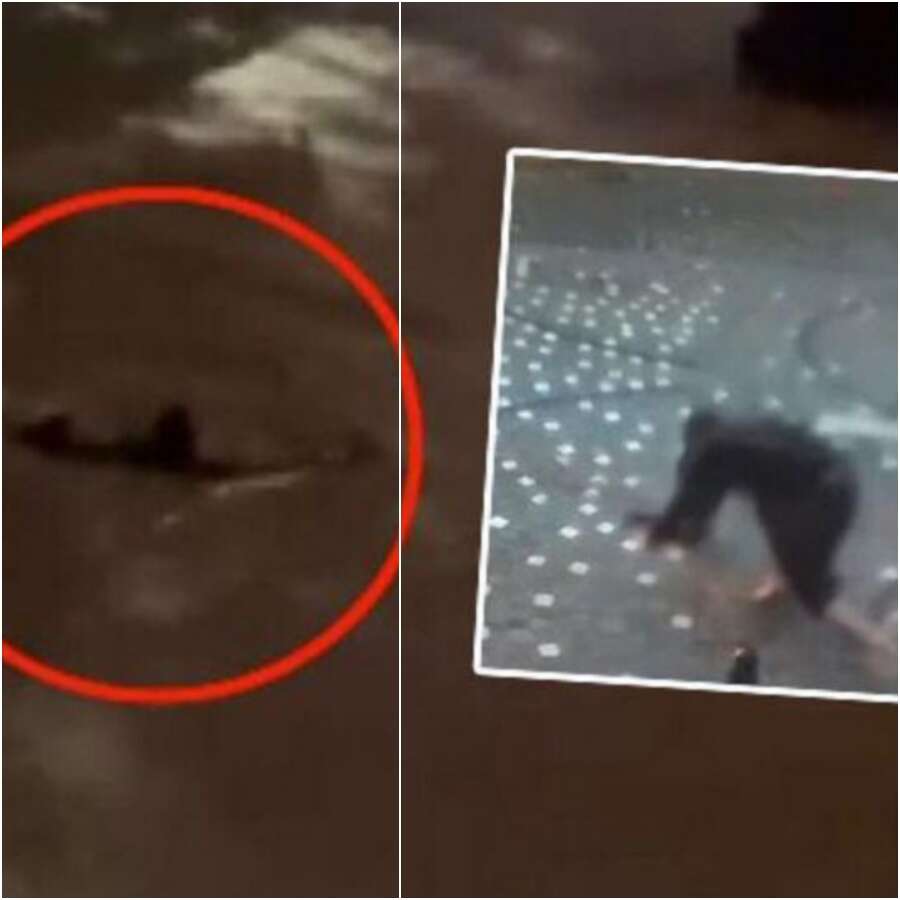 İstanbul'da 41 yılın felaketi: Metrekareye 242 kg yağış düştü, iki can kaybımız var!