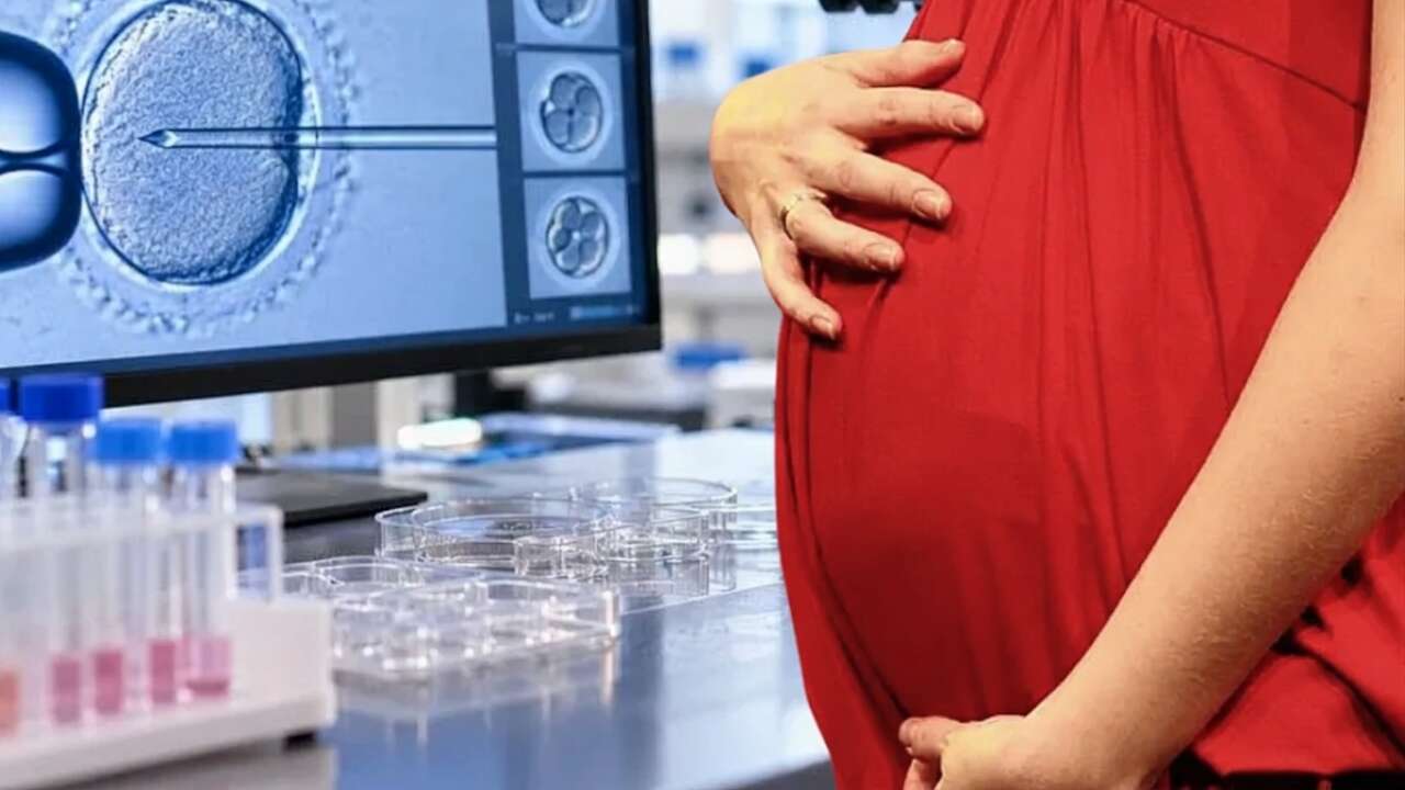 Yasa dışı yumurta satışına karşı Medipol'den uyarı: Kontrolsüz işlemler hayati risk taşıyor!