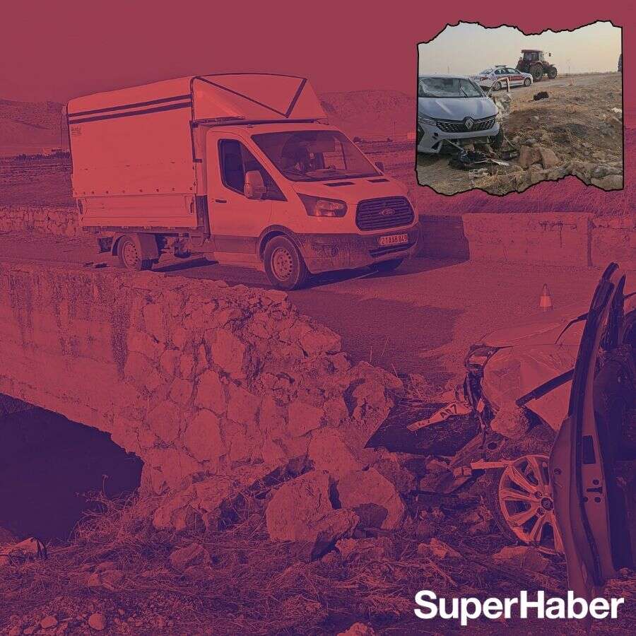 Mardin'de Türkiye'yi yasa boğan olay! 4 minik yavru ve 2 anne kurtarılamadı