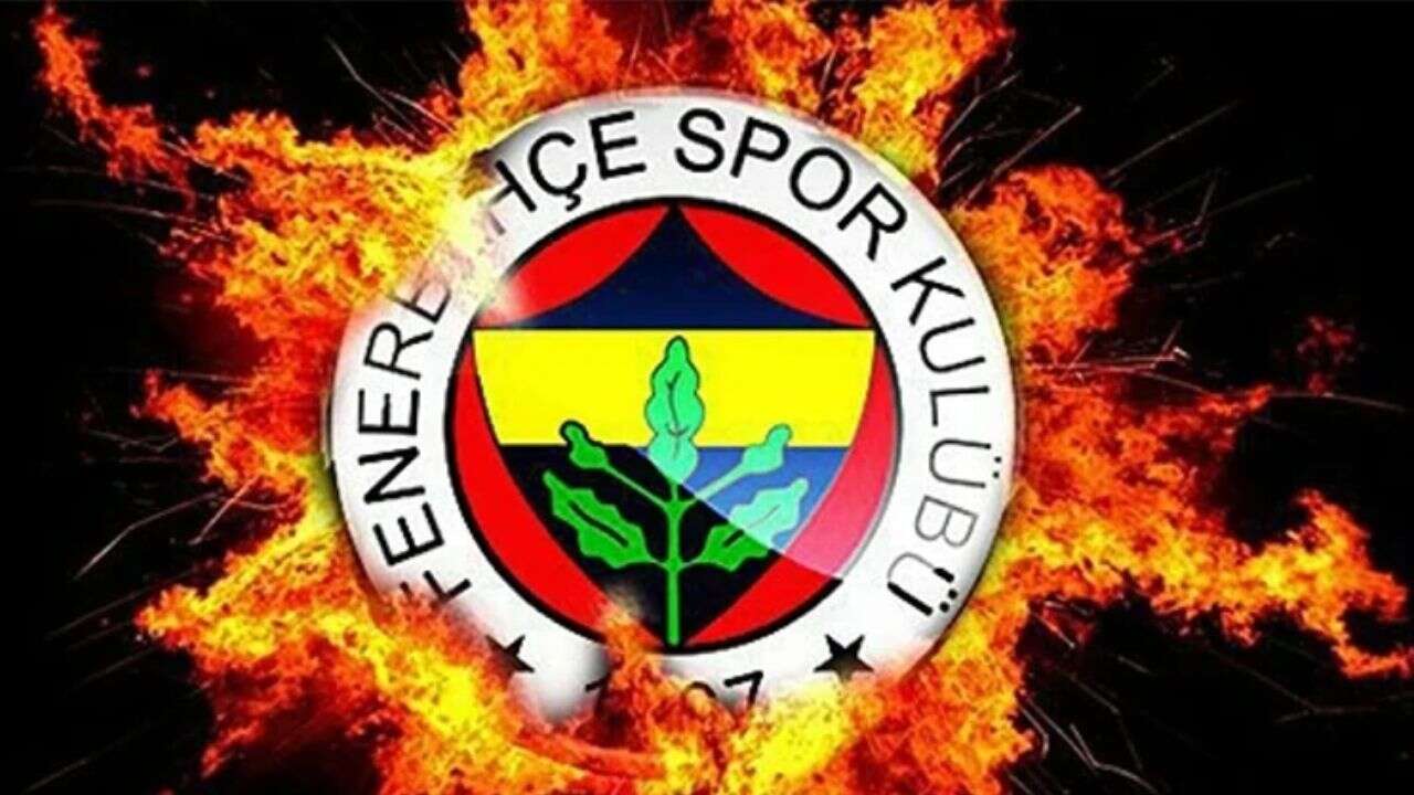 Dwight Powell, Fenerbahçe'de